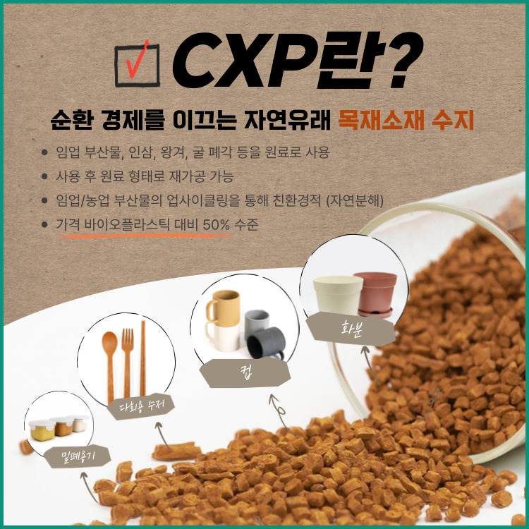 woojin_edm_01_01.jpg